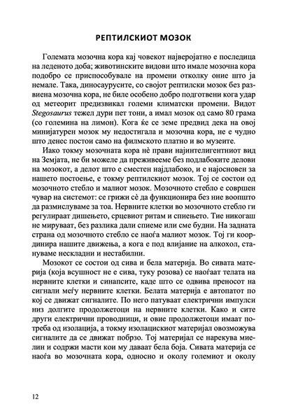 Твојот мозок суперѕвезда - Каја Норденген