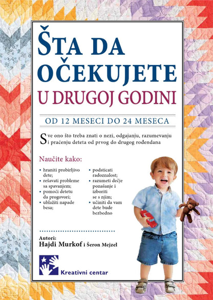 ŠTA DA OČEKUJETE U DRUGOJ GODINI - Šeron Mejzel, Hajdi Murkof, korica knjige