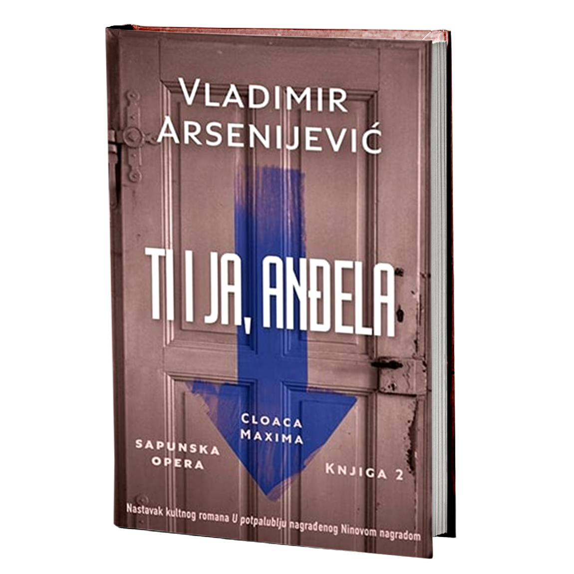 TI I JA, ANĐELA - Vladimir Arsenijević