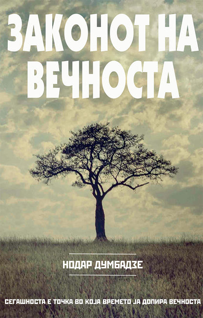 законот на вечноста - нодар думбадзе,предна корица на книгата
