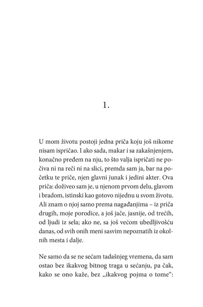 MOJ DAN U DRUGOJ ZEMLJI priče o demonima- Peter Handke