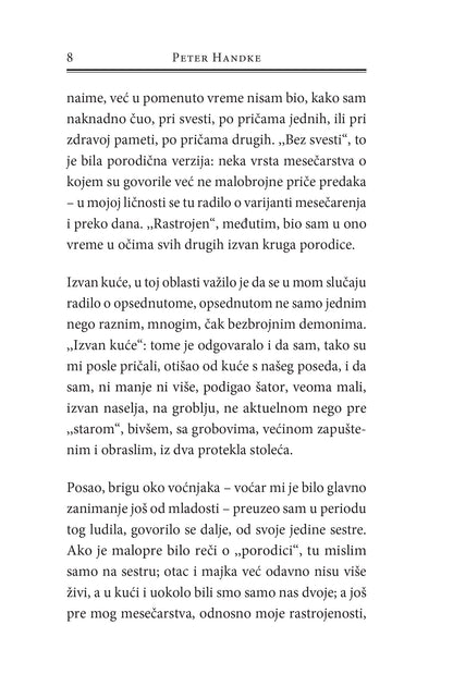MOJ DAN U DRUGOJ ZEMLJI priče o demonima- Peter Handke