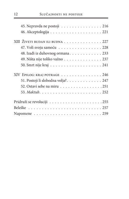 SLUČAJNOSTI NE POSTOJE duhovnost za skeptike - Borha Vilaseka, sadržaj iz knjige