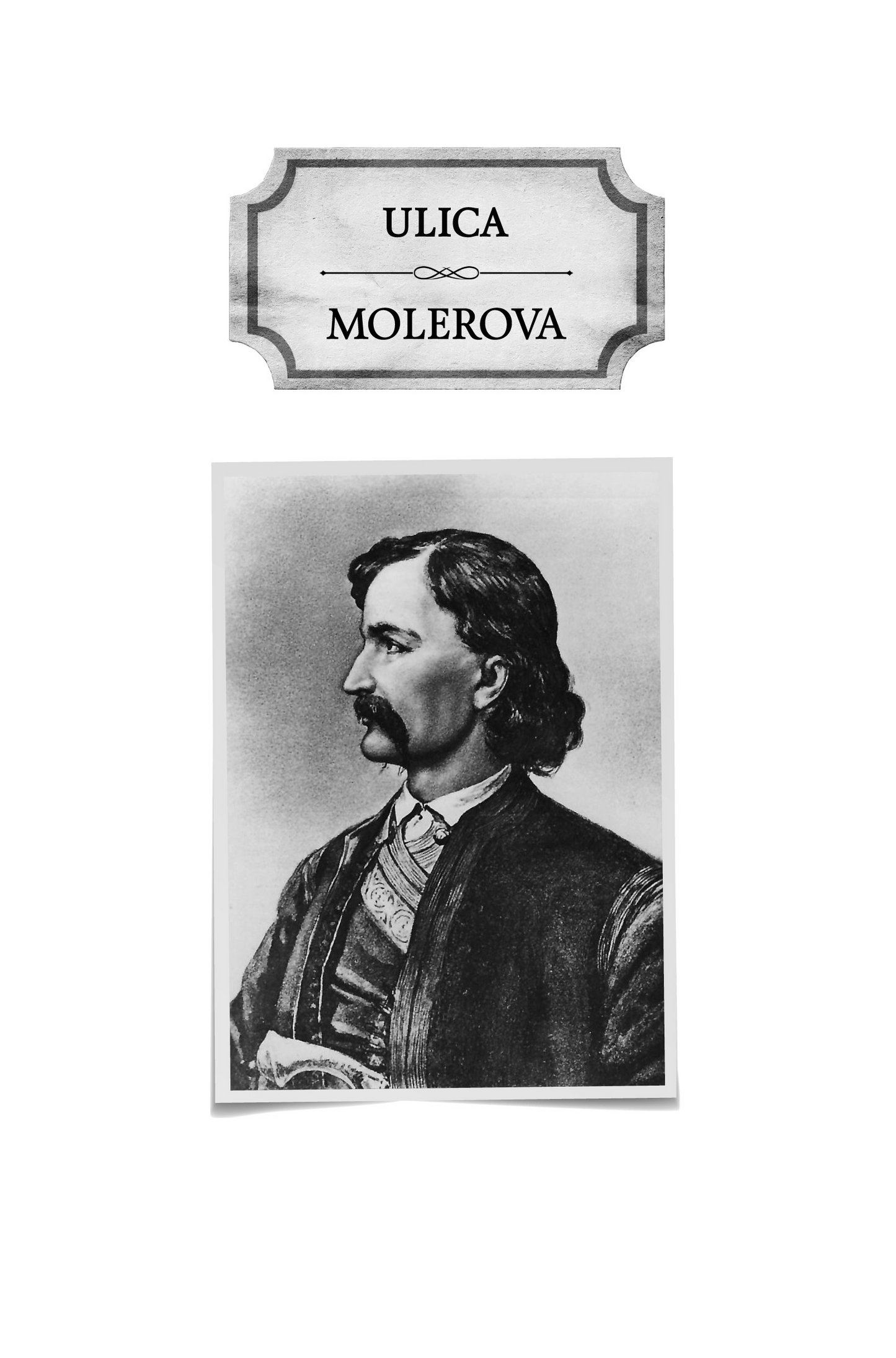 VRAČAR - Svetlana Velmar-Janković