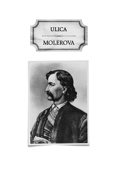 VRAČAR - Svetlana Velmar-Janković