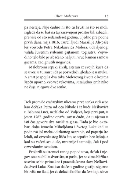 VRAČAR - Svetlana Velmar-Janković