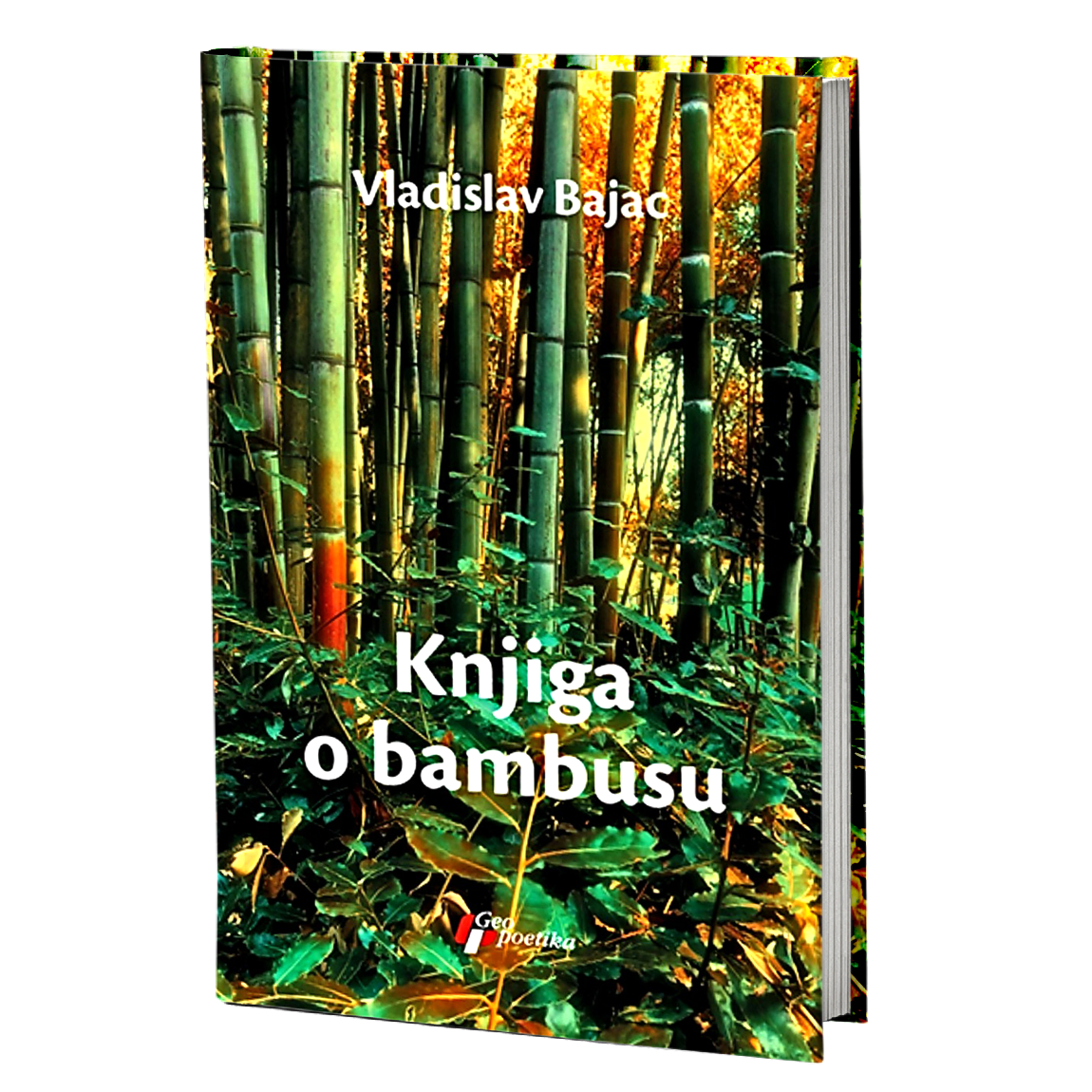 Knjiga o bambusu – Vladislav Bajac