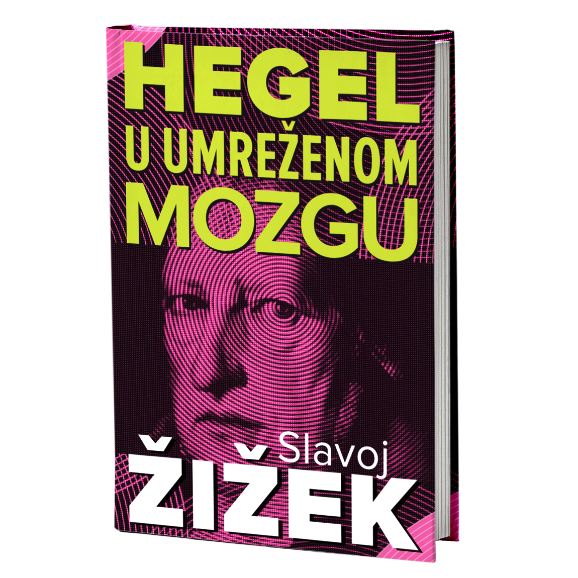 Hegel u umreženom mozgu – Slavoj Žižek