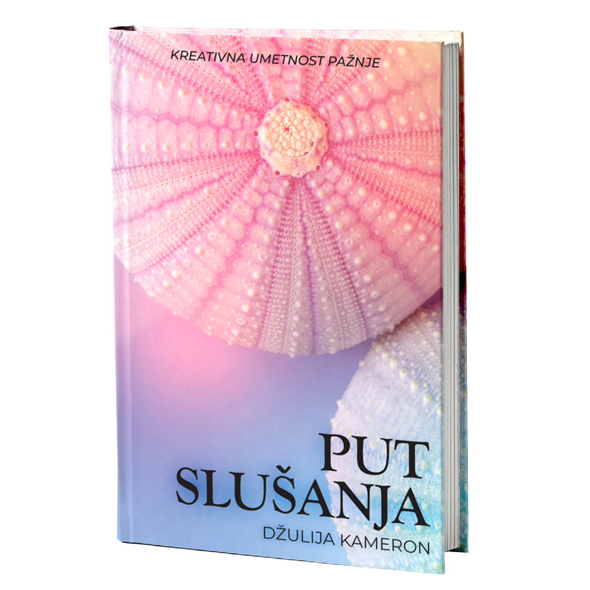 Put slušanja: kreativna umestnost pažnje - Džulija Kameron