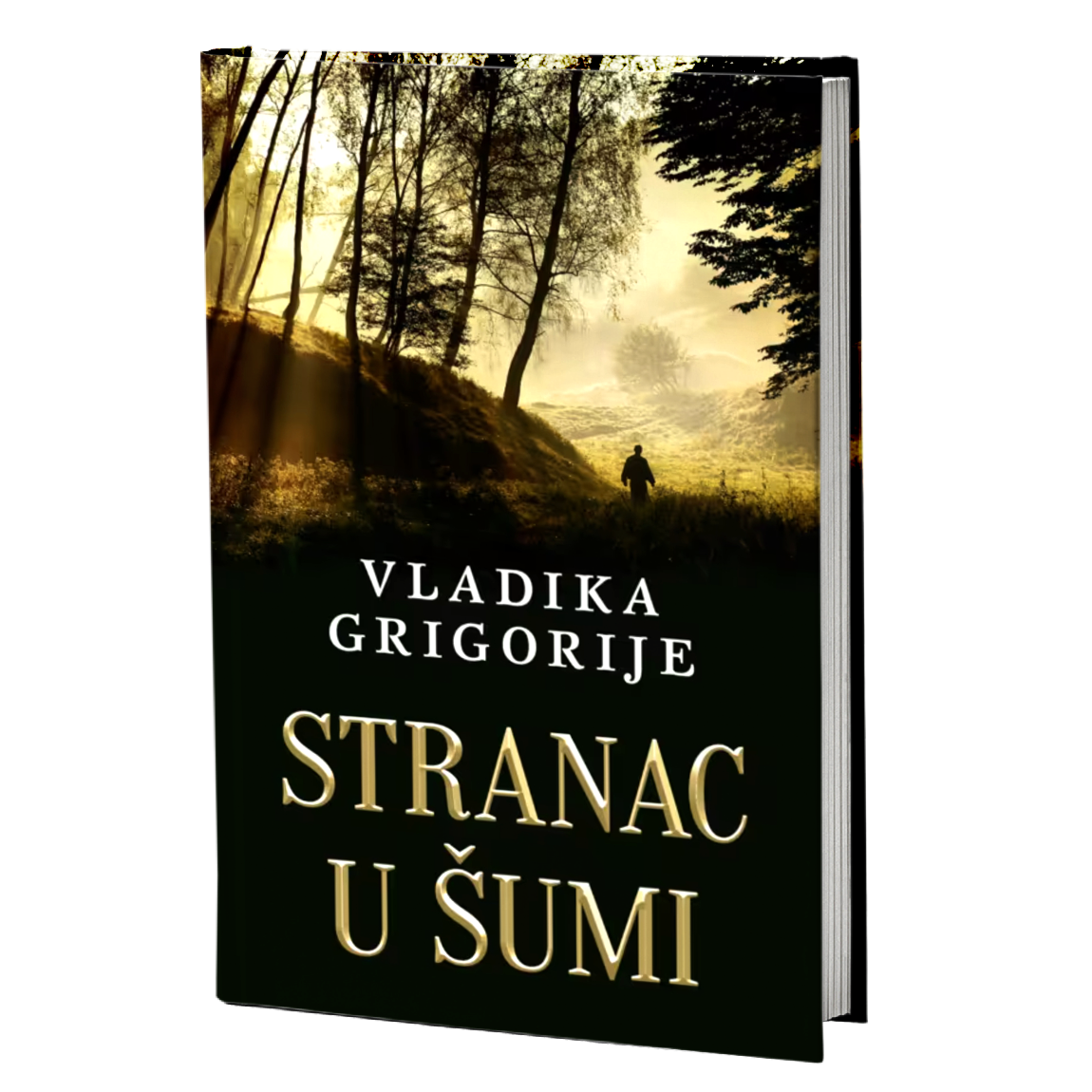 Stranac u šumi – Vladika Grigorije