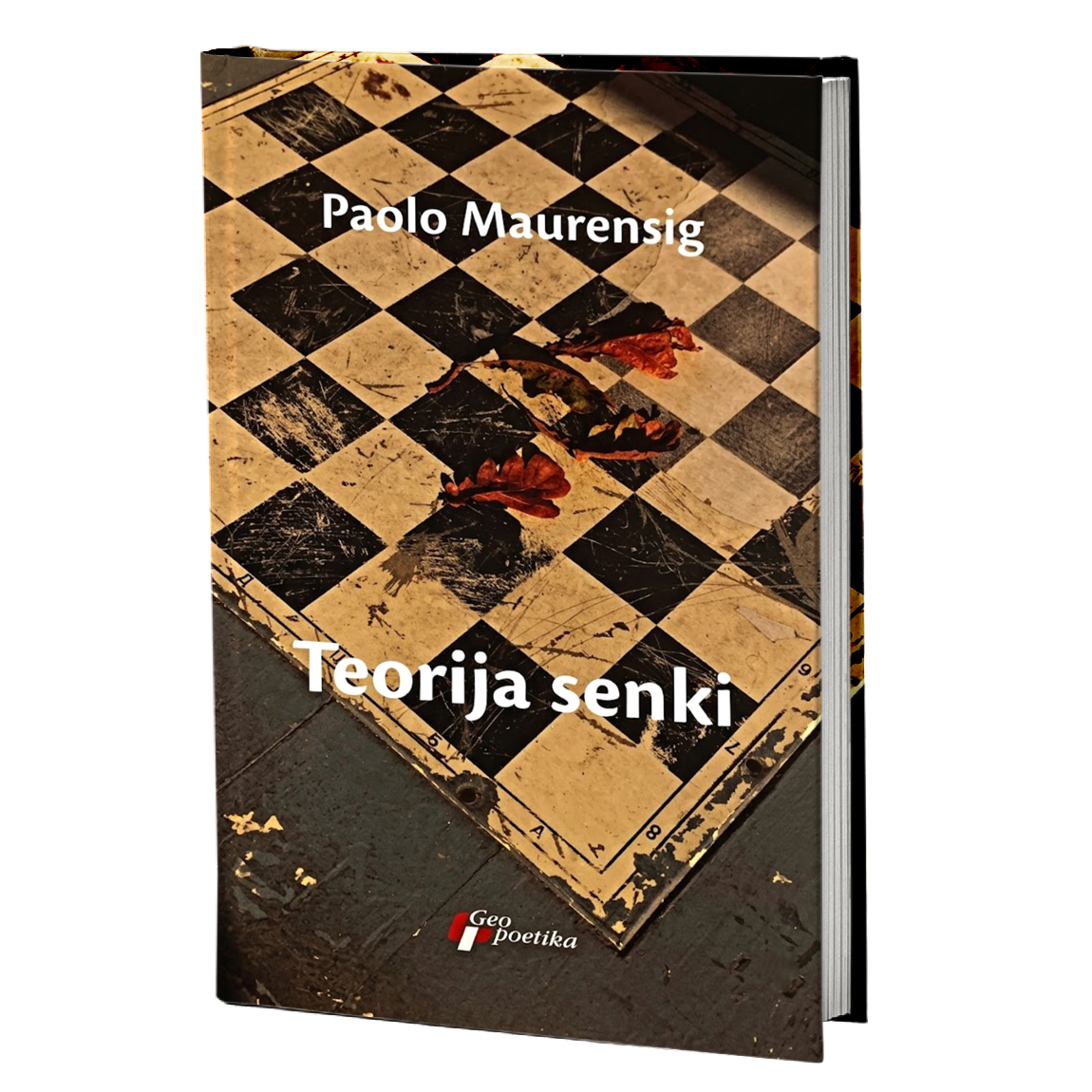 teorija senki – paolo maurensig mokap knjige
