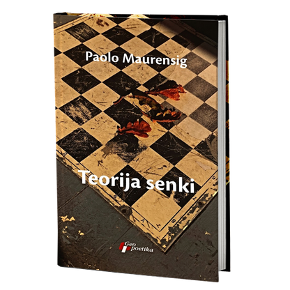 teorija senki – paolo maurensig mokap knjige