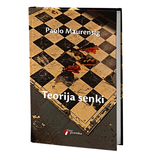 teorija senki – paolo maurensig mokap knjige