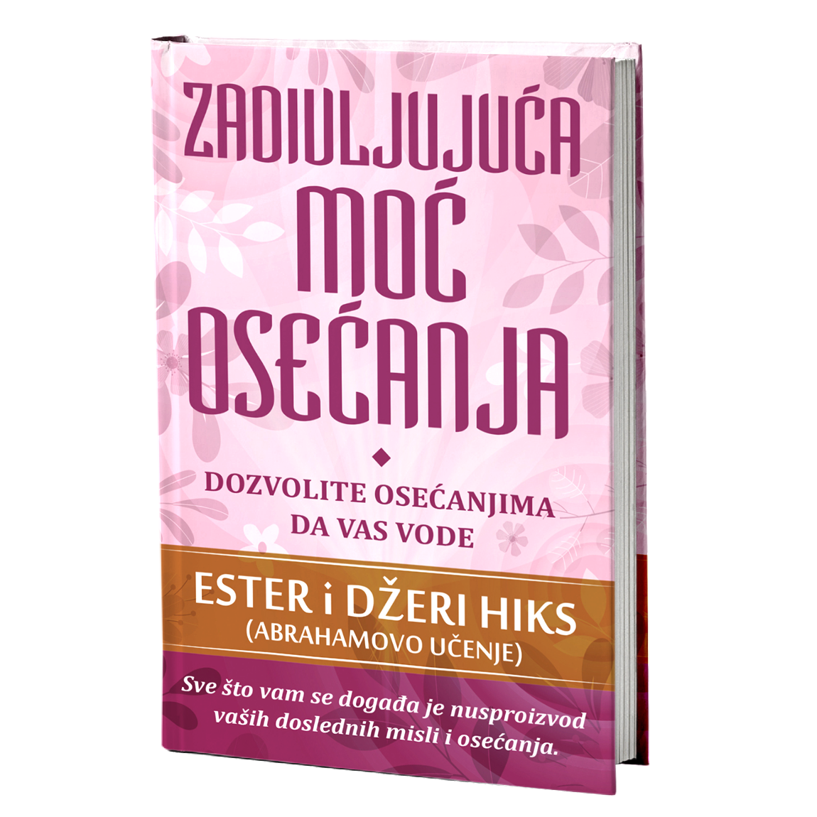 Zadivljujuća moć osećanja – Ester i Džeri Hiks