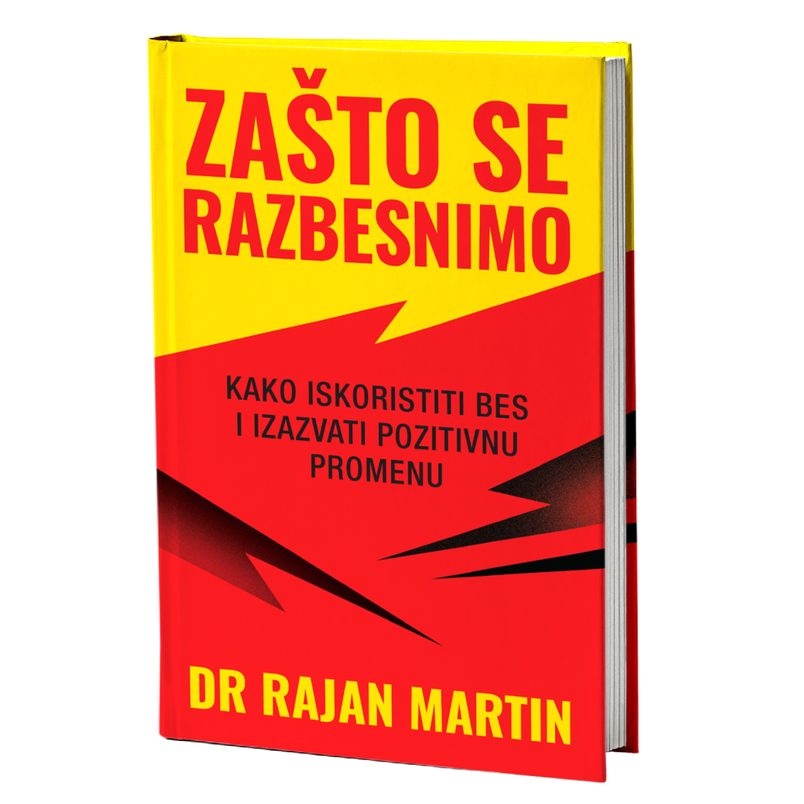 Zašto se razbesnimo – Rajan Martin