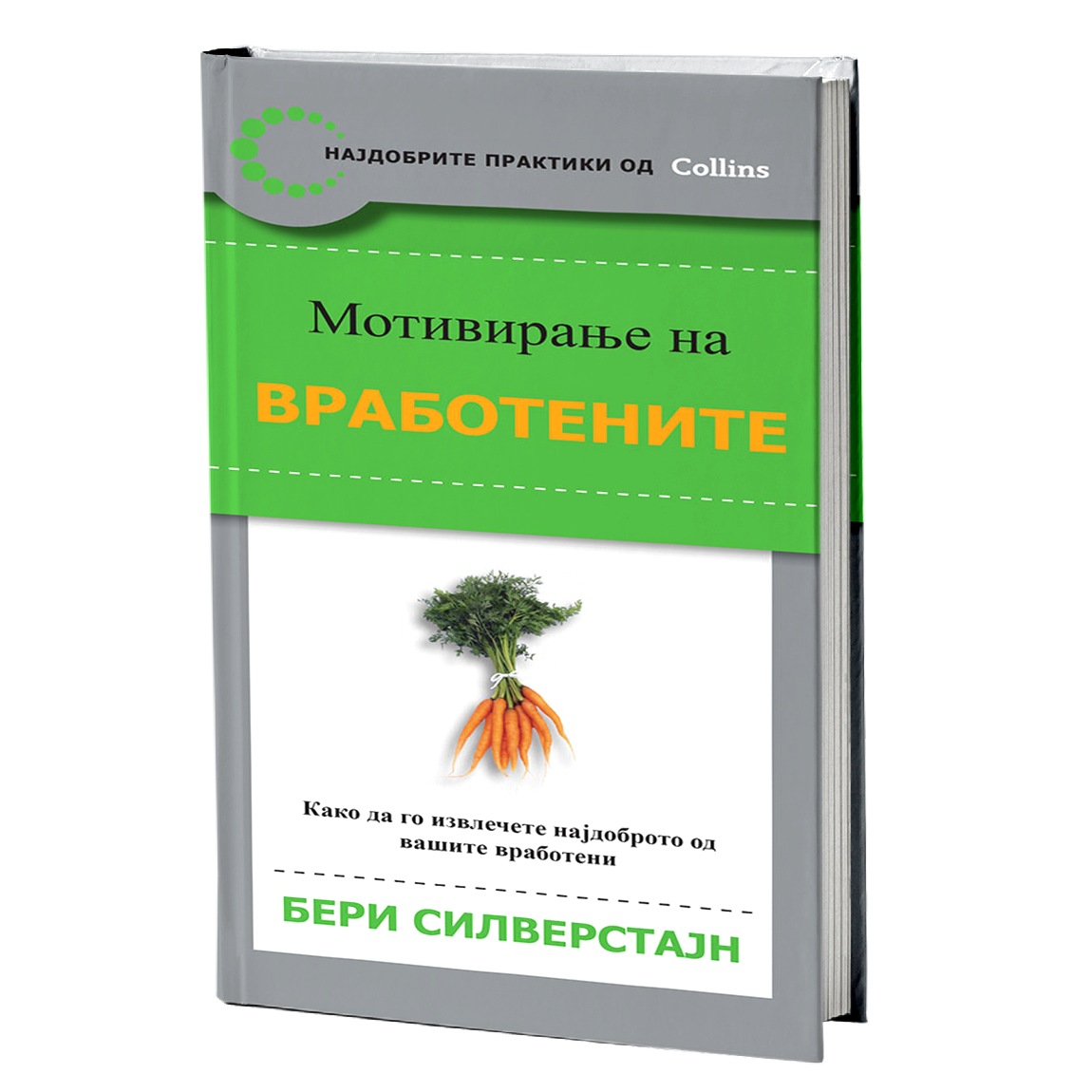 Mотивирање на вработените – Бери Силверстајн