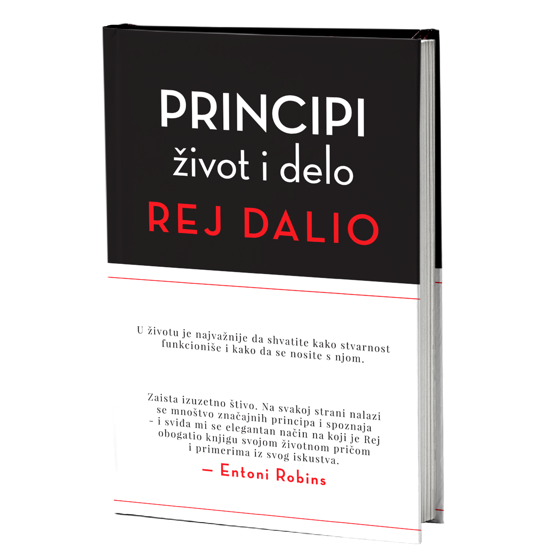 Principi - život i delo - Rej Dalio