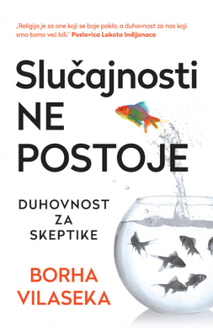 slučajnosti ne postoje duhovnost za skeptike - borha vilaseka, korice knjige
