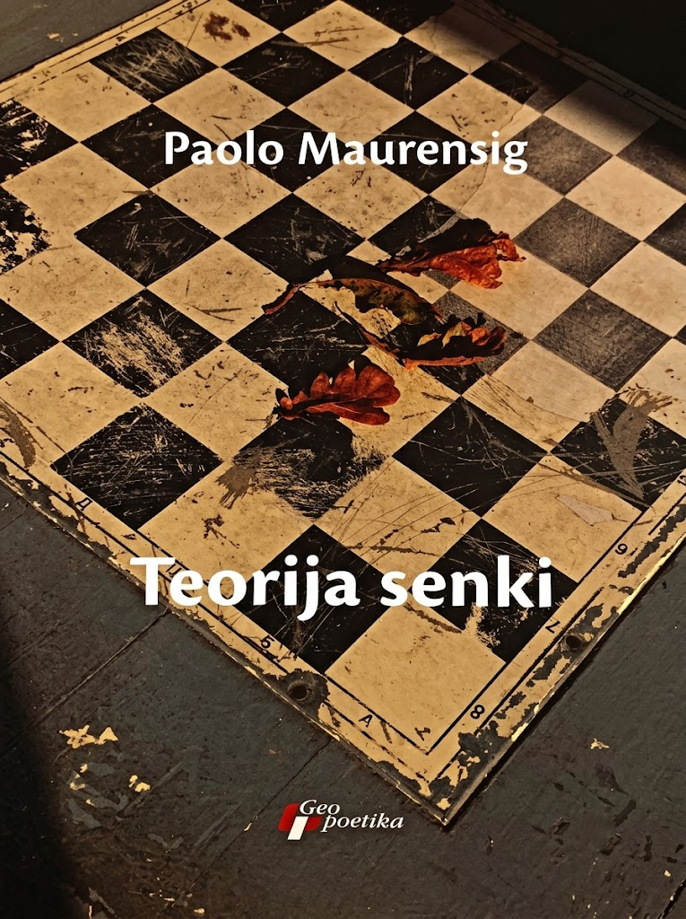 teorija senki – paolo maurensig korica knjige